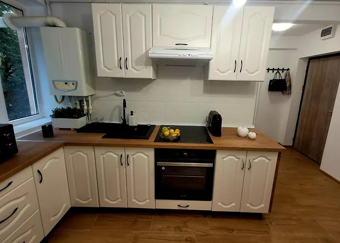 Studio Tad House Hunedoara